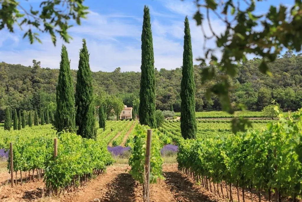 Panzió « Carpe Diem » Aix-en-Provence Franciaország