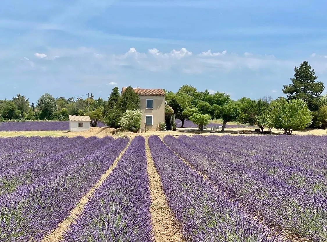 « Carpe Diem » Aix-en-Provence